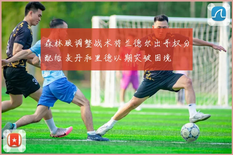 森林狼调整战术将兰德尔出手权分配给麦丹和里德以期突破困境